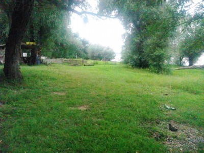 IMG_20150704_141118.jpg